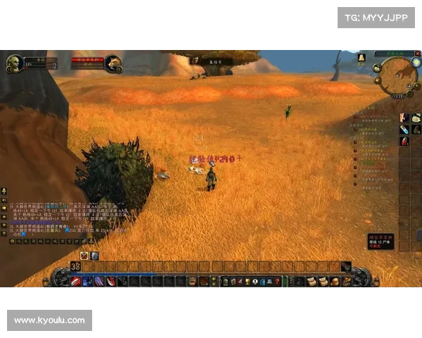 魔兽世界怀旧服：探索宏技能升级之道